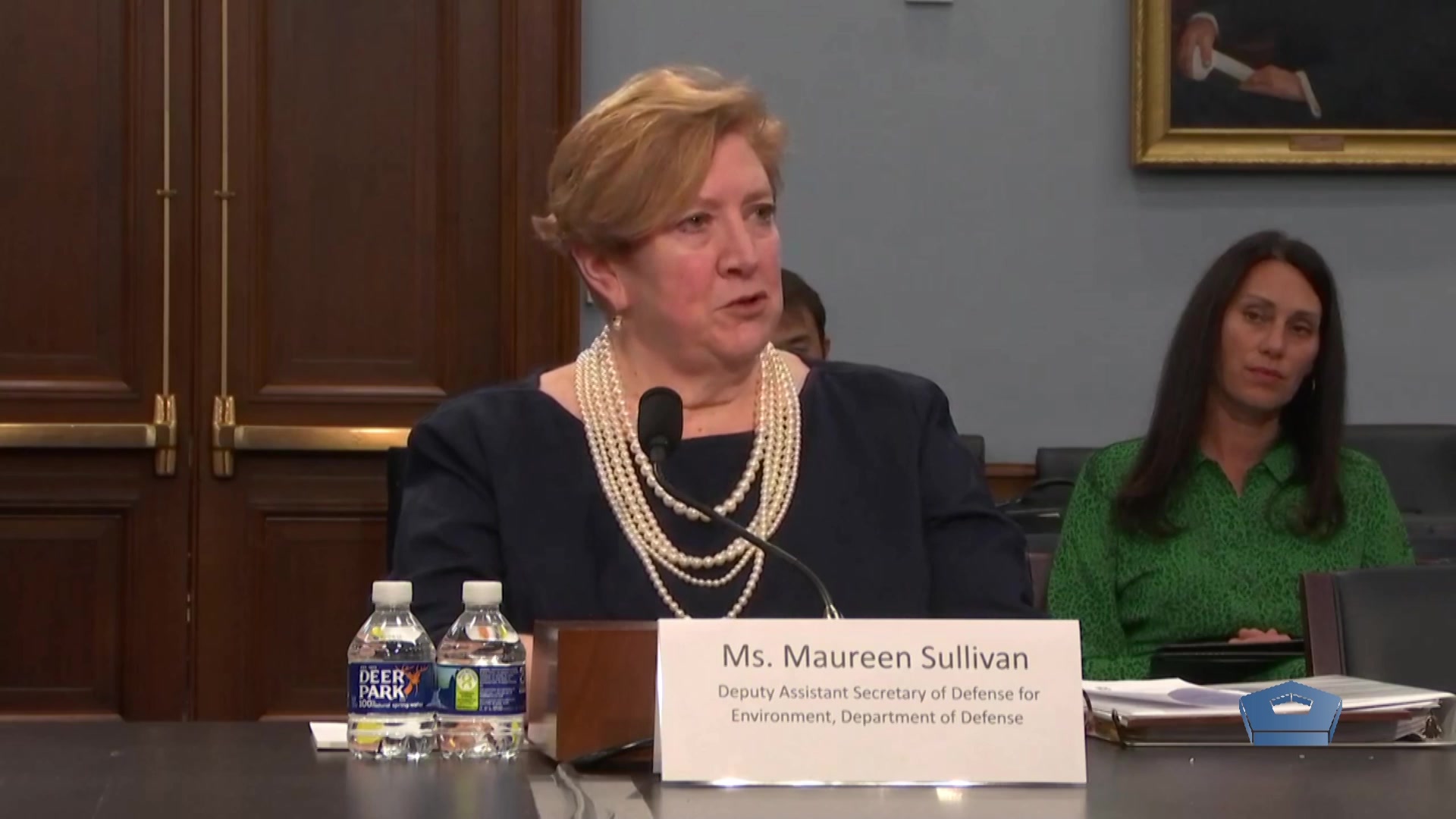 Maureen Sullivan, deputy assistant secretary of defense for environment, Department of Defense, testifies at the House Appropriations subcommittee hearing concerning the impact of PFAS exposure on servicemembers, March 11, 2020. Per- and polyfluoroalkyl substances (PFAS) are a group of man-made chemicals that are very persistent in the environment and in the human body – meaning they don’t break down and they can accumulate over time. There is evidence that exposure to PFAS can lead to adverse human health effects. 