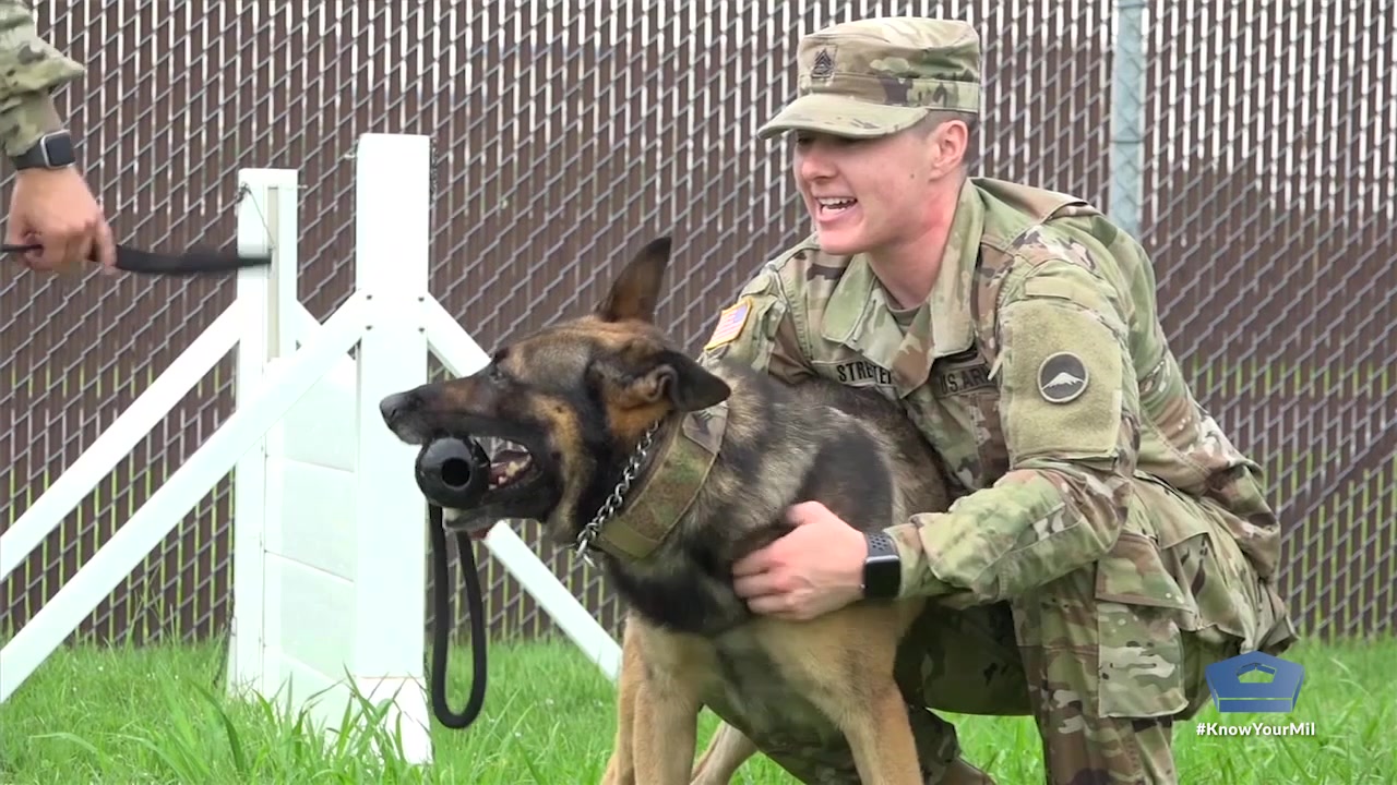 Staff Sgt. Kayla Streeter is a military working dog handler assigned to the 901st Military Police Detachment. In this short video, Streeter shares the reasons she became a dog handler and her thoughts on being able to do a job about which she is so passionate. 

Army video by Ayako Watsuji