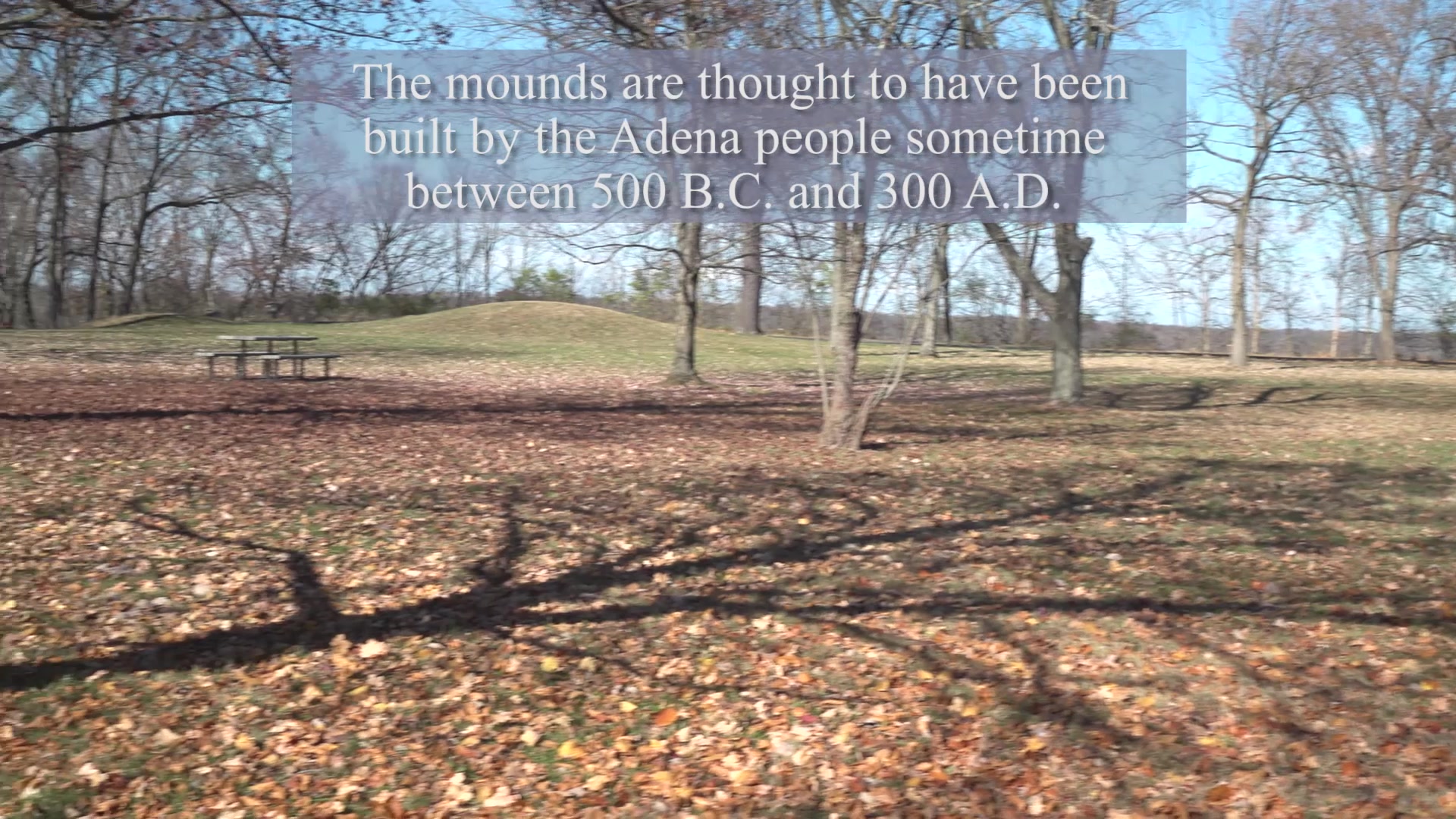 A look at prehistoric Adena Indian mounds in observance of National Native American Heritage Month, Wright-Patterson Air Force Base, Ohio, Nov. 10, 2020. WPAFB works with federally recognized tribes to preserve these ancient burial mounds.  (U.S. Air Force video by Austin Smith)
