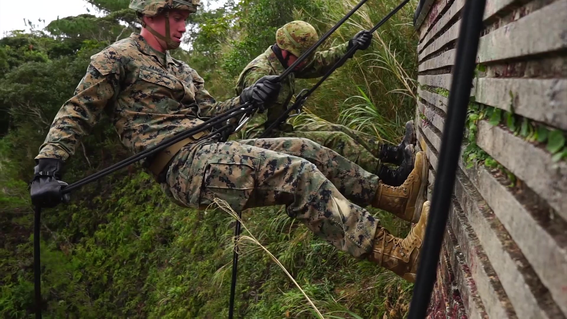 U.S. Marines train alongside members of the Japanese Ground Self-Defense Force during the Jungle Leaders Course on Camp Gonsalves, Okinawa, Japan, Jan. 15, 2021. JLC trains Marines in jungle survival skills, tactical rope suspension techniques, and jungle warfare tactics, building a lethal force capable of conducting operations throughout the Indo-Pacific region. (U.S. Marine Corps video by Lance Cpl. Hassanen Attabi)