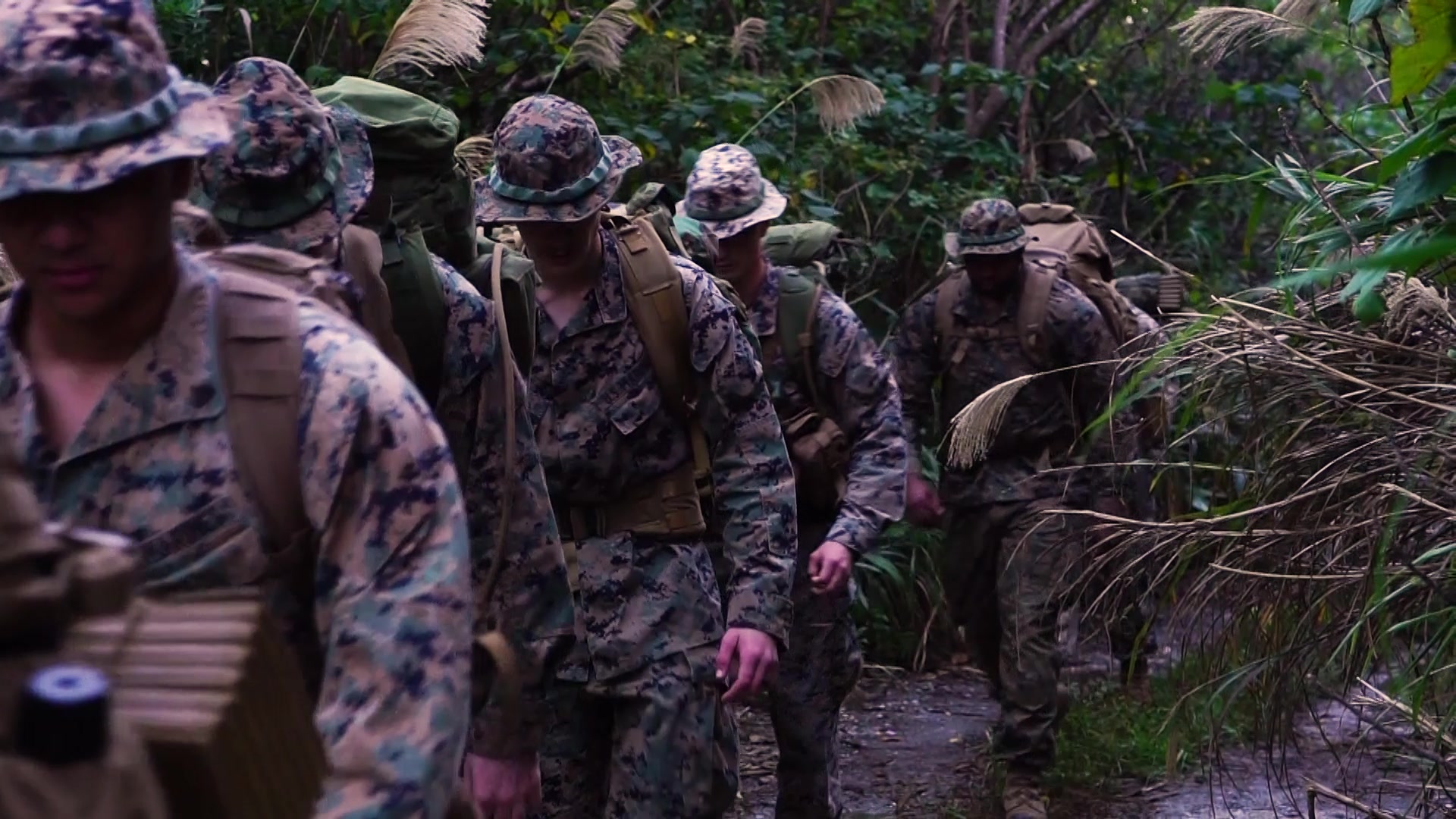 U.S. Marines with 3d Marine Division, conduct the Jungle Survival Course at the Jungle Warfare Training Center on Camp Gonsalves, Okinawa, Japan, Dec. 10, 2020. The course focuses on jungle survival skills, increasing the Marine’s ability to operate in any environment throughout the Indo-Pacific region. (U.S. Marine Corps video by Lance Cpl. Hassanen Attabi)