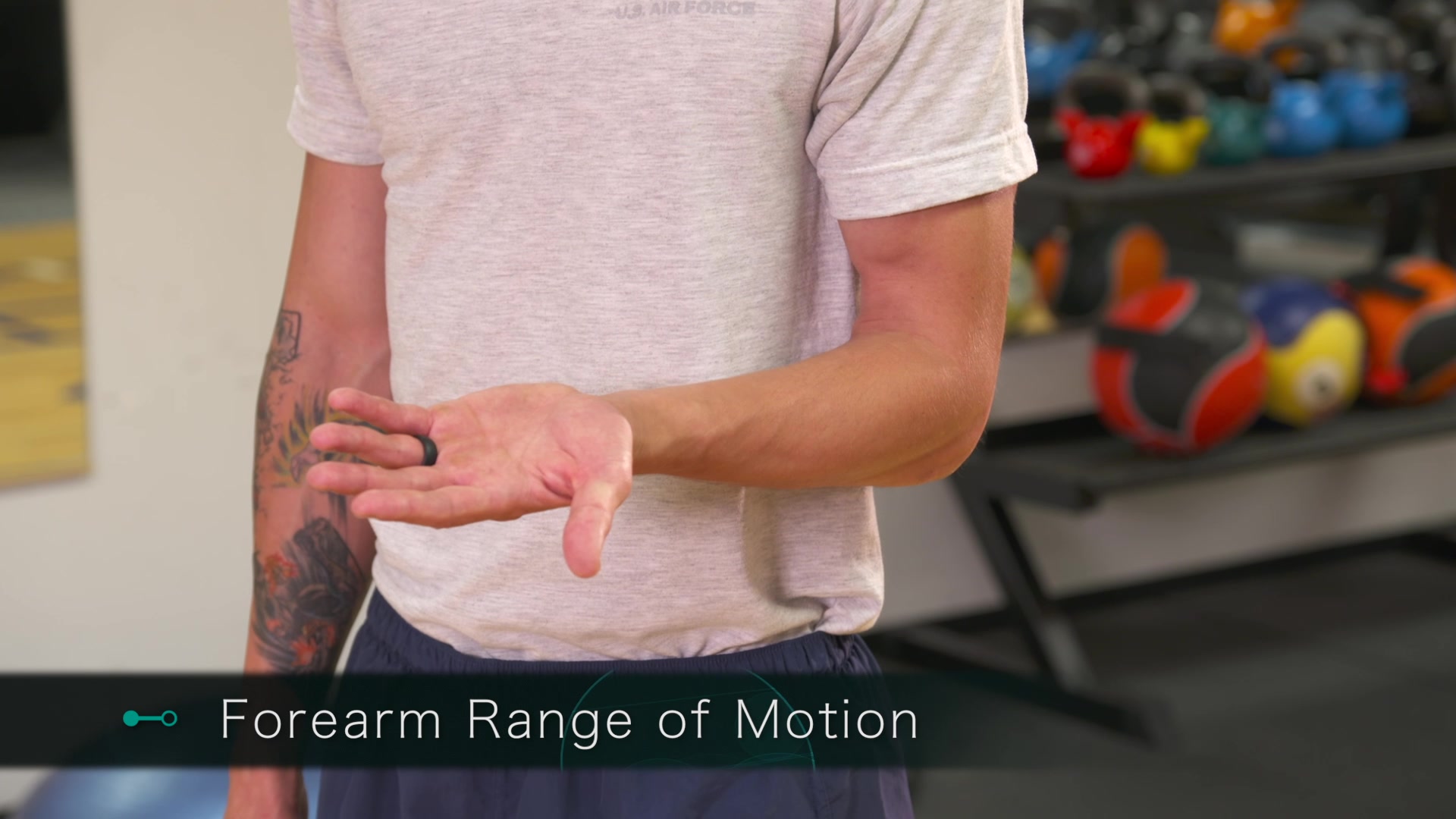 Forearm Range Of Motion