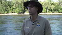 Corps of Engineers, Partners Place Endangered Mussels in Mississippi River