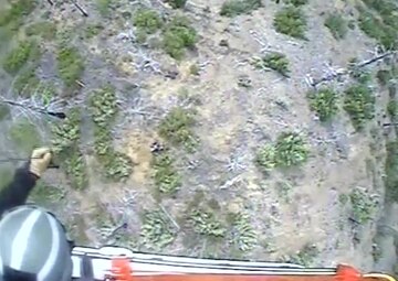 A Coast Guard MH-65 Dolphin helicopter crew from Sector North Bend rescued a missing hiker in the Rogue River-Siskiyou National Forest, June 14, 2017.
