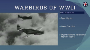Warbirds of World War II - P-51 Mustang