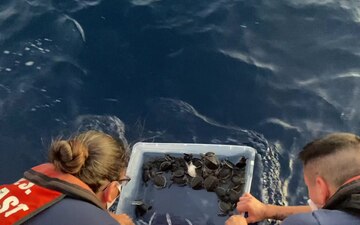 Coast Guard Station Fort Lauderdale crew members releases more than 200 Green, Loggerhead, and Hawksbill sea turtles approximately 10 miles off the Fort Lauderdale coast, Nov. 16, 2020. Station Fort Lauderdale is a multi-mission small boat station in Dania, Florida.