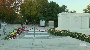 Members of the Public Lay Flowers at Tomb of the Unknown Soldier Pat 8