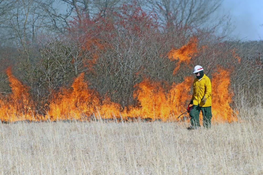 Fort Gibson Lake hosts prescribed fire training course