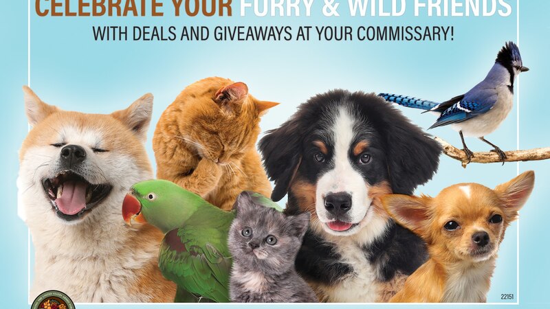 NATIONAL PET MONTH: During May, commissaries offer best prices on products catering to customers’ four-legged  family members