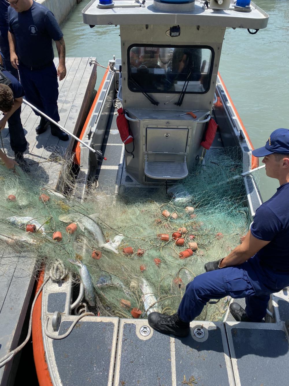 A Coast Guard Station South Padre Island boat crew cuts a dolphin free from illegal fishing nets near South Padre Island, Texas, May 4, 2022. After receiving a call from a boater about the entangled dolphin a Station South Padre Island 24-foot Special Purpose Craft-Shallow Water boat crew launched to respond. The crew freed the dolphin and removed the illegal fishing gear from the water. (U.S. Coast Guard photo by Seaman Lacie Kraatz)