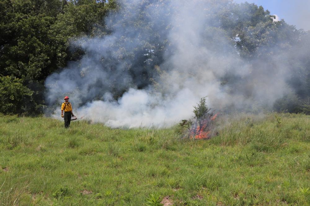 Prescribed fire conducted at Kanopolis Lake