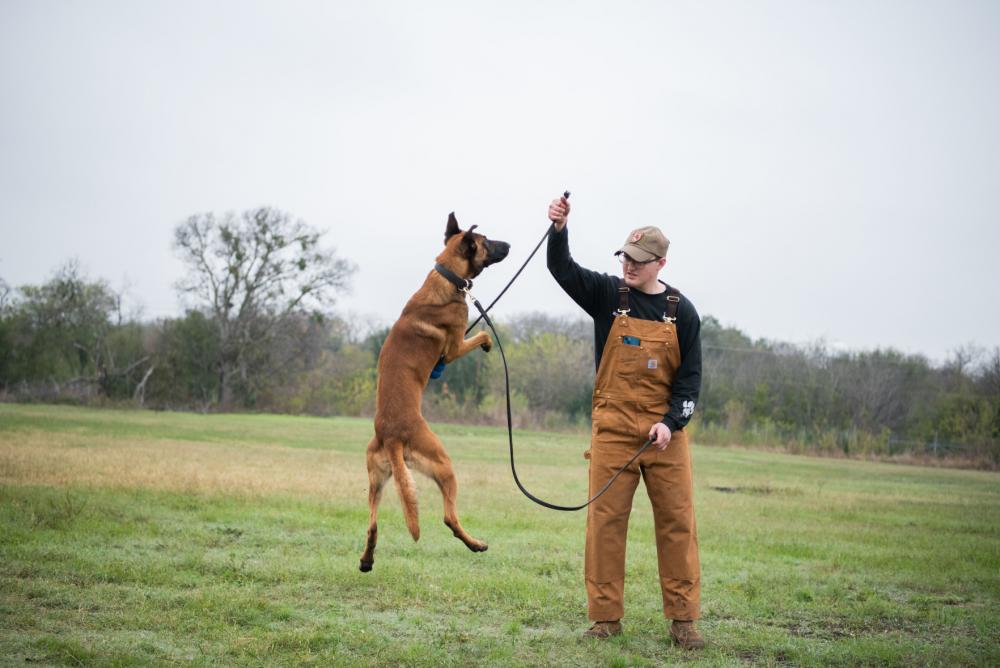 A Day in Dad's Life: Gold Star family member spends day with MWD trainers