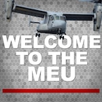 welcome-to-the-meu-aerial-sniper