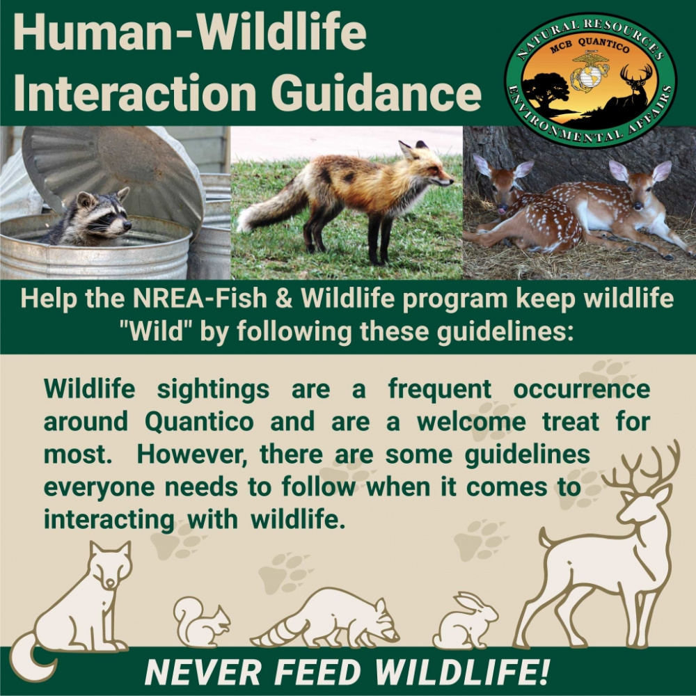 Human-Wildlife Interaction Guidance1