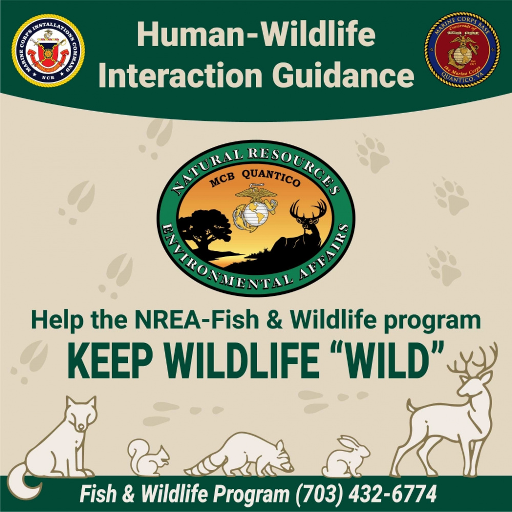 Human-Wildlife Interaction Guidance7