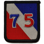 75th Innovation Command